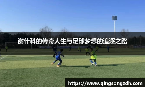 九游会J9