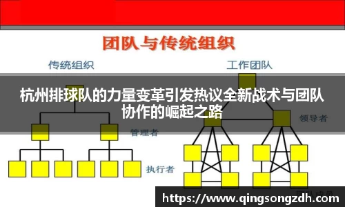 杭州排球队的力量变革引发热议全新战术与团队协作的崛起之路