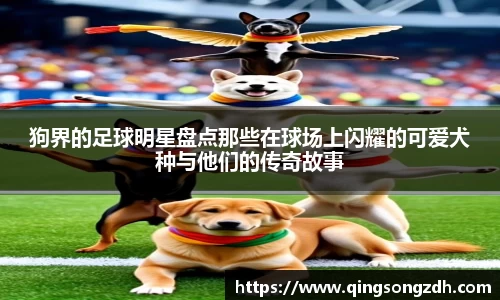 狗界的足球明星盘点那些在球场上闪耀的可爱犬种与他们的传奇故事