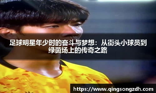 九游会J9真人游戏